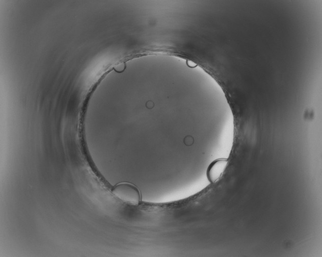 X0000112150293200909181430