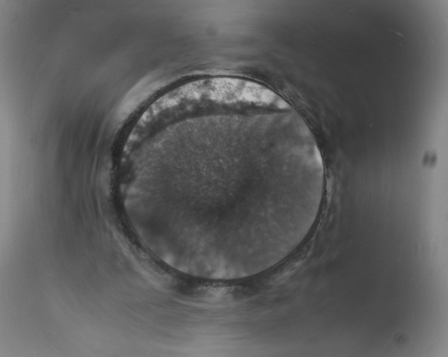 X0000112150295200909181430