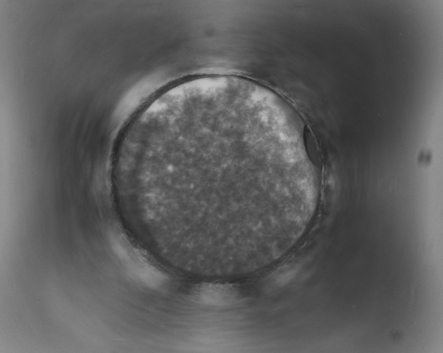 X0000112150296200909181430