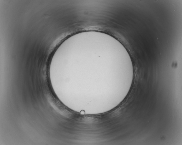 X0000112150298200909181430