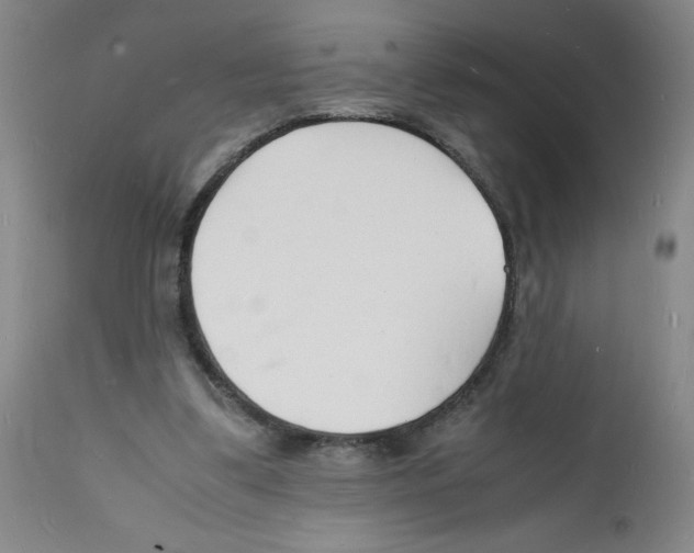 X0000112150299200909181430