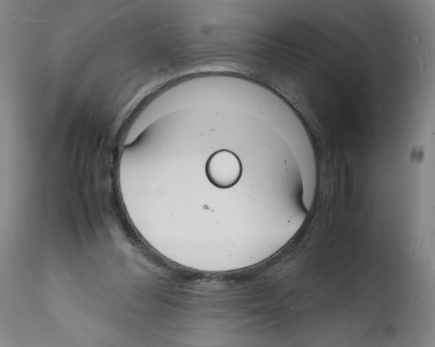 X0000112150300200909181430
