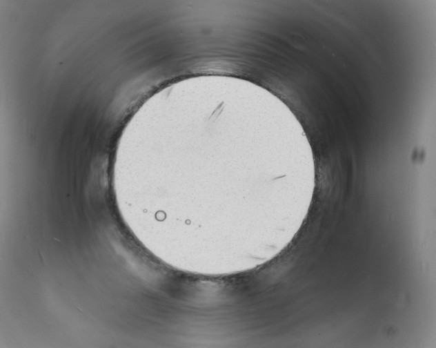 X0000112150302200909181429