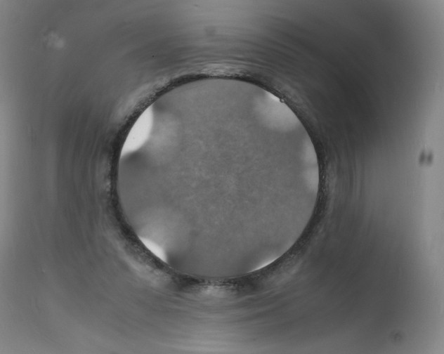 X0000112150303200909181429
