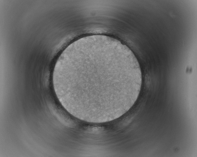 X0000112150304200909181429