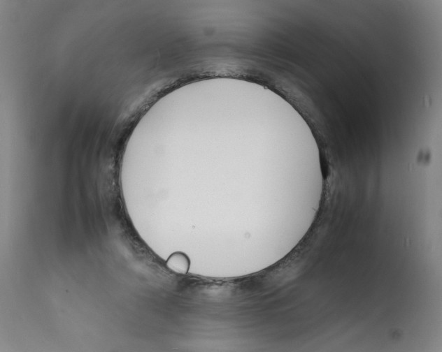 X0000112150306200909181429
