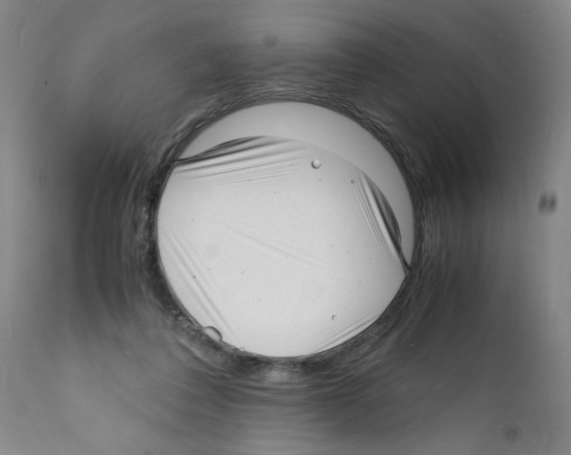 X0000112150308200909181429