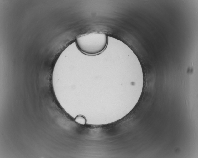 X0000112150309200909181429
