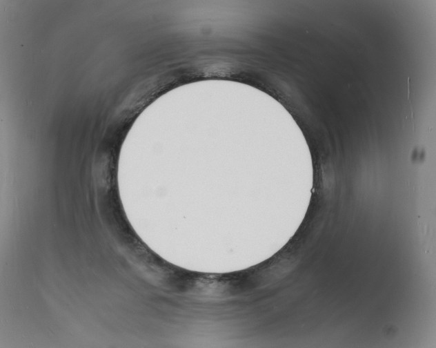 X0000112150311200909181429