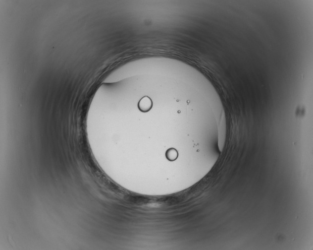 X0000112150312200909181429