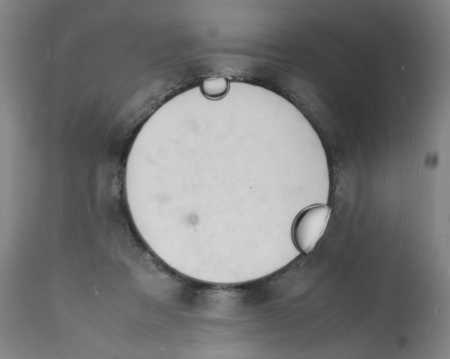 X0000112150313200909181429
