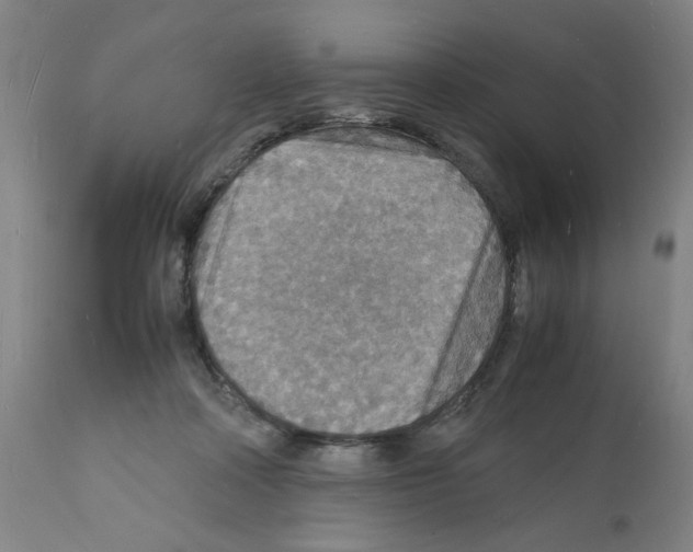 X0000112150314200909181429