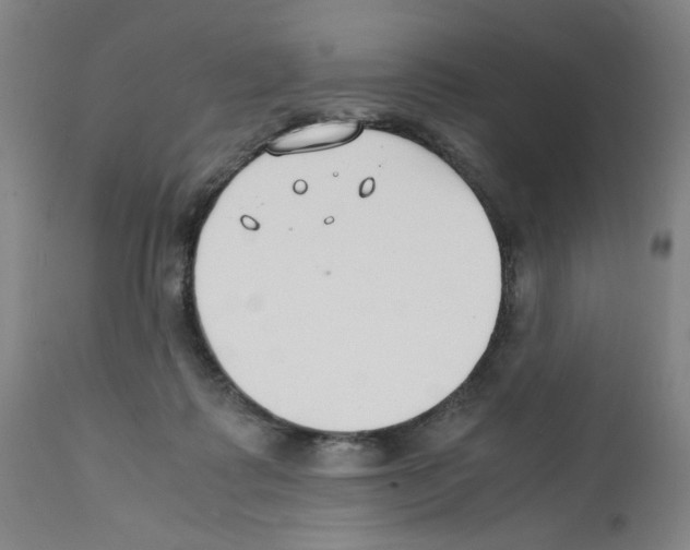 X0000112150315200909181429