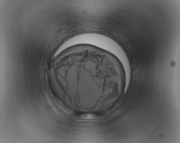 X0000112150316200909181429