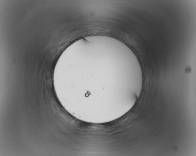 X0000112150317200909181429