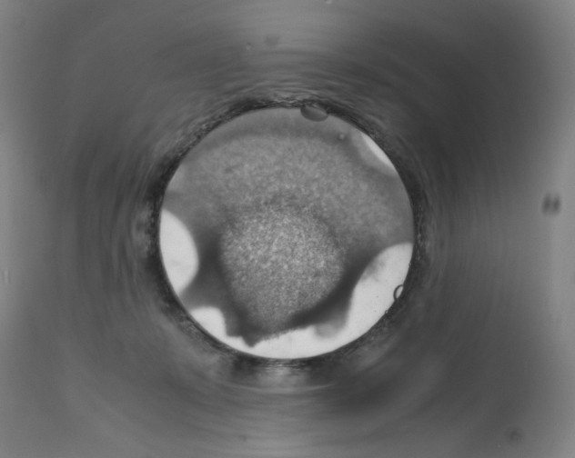 X0000112150319200909181429