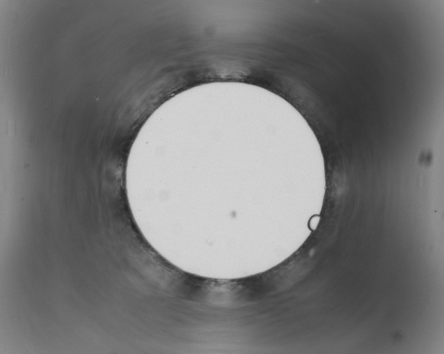 X0000112150321200909181429