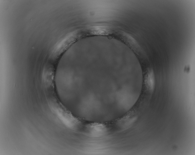 X0000112150322200909181429