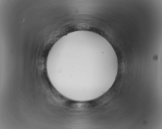 X0000112150323200909181429