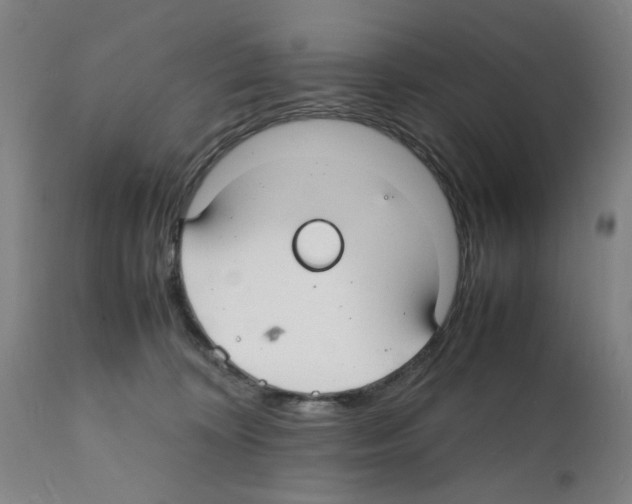 X0000112150324200909181429