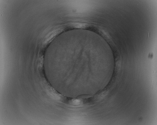 X0000112150325200909181429