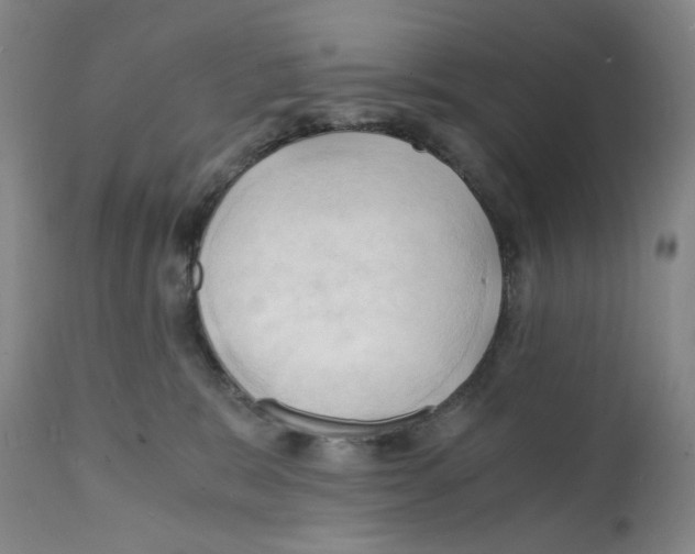 X0000112150327200909181429