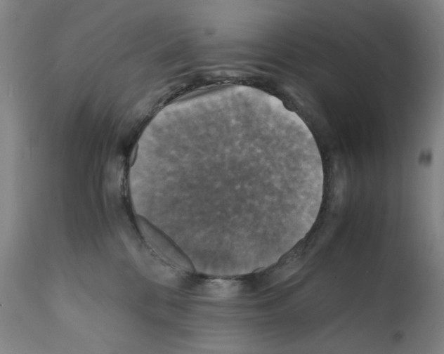 X0000112150328200909181429
