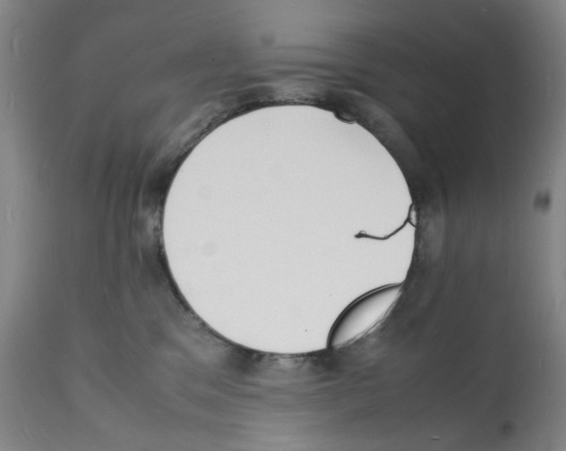 X0000112150329200909181429