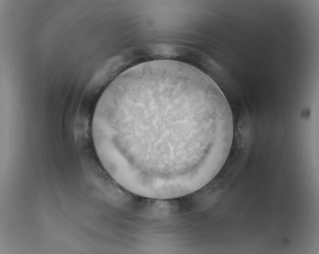 X0000112150330200909181429