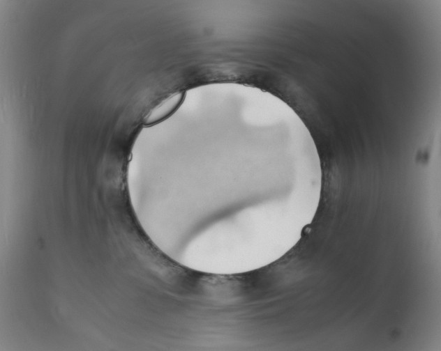 X0000112150331200909181429