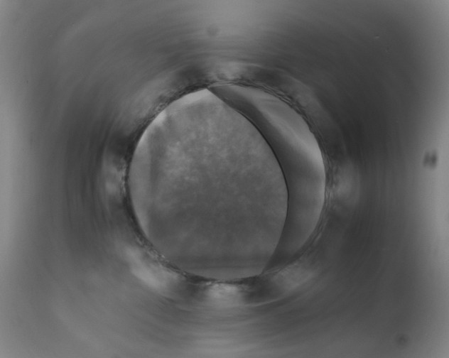 X0000112150332200909181429
