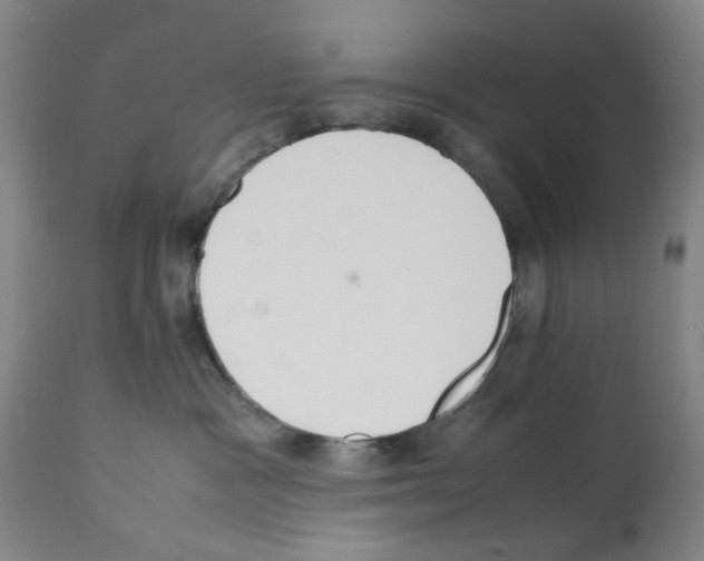 X0000112150333200909181429