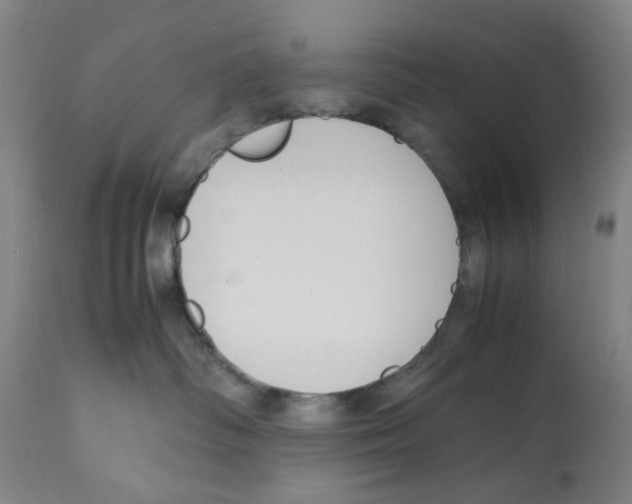 X0000112150334200909181429
