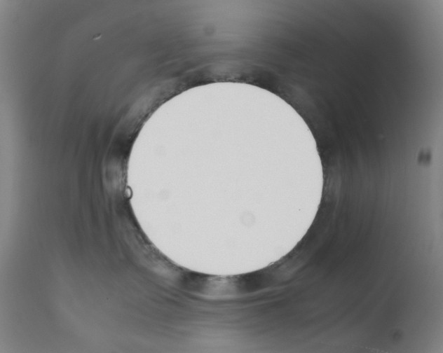 X0000112150335200909181429