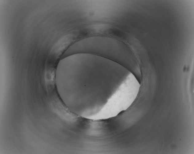 X0000112150336200909181429