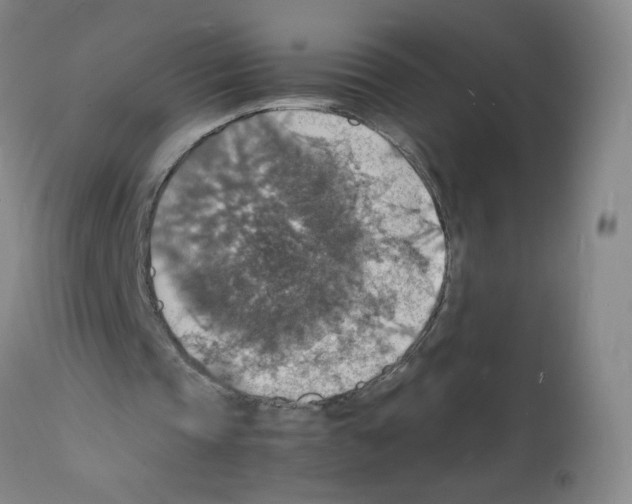 X0000112150337200909181428