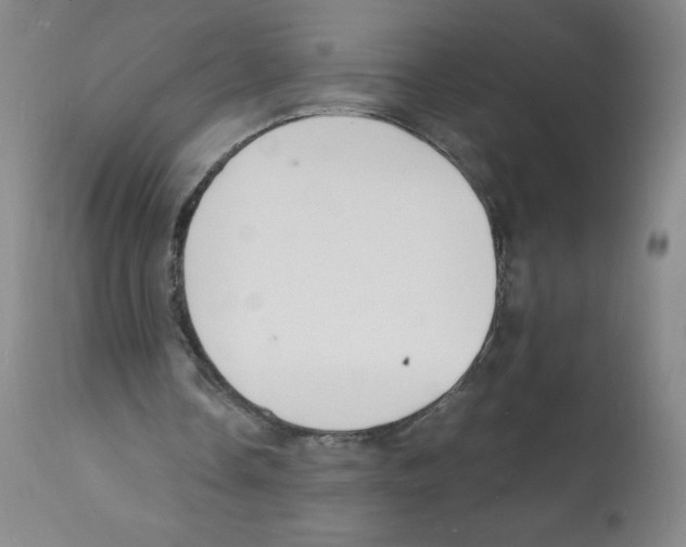 X0000112150338200909181428
