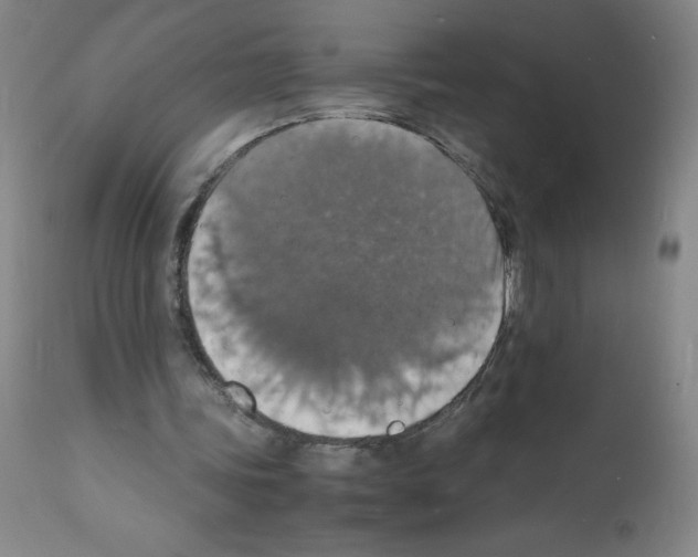 X0000112150339200909181428