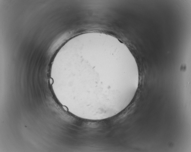X0000112150341200909181428