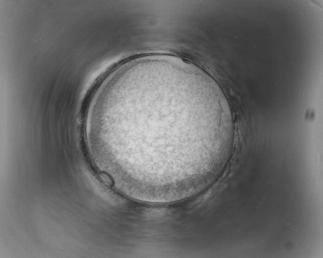 X0000112150342200909181428