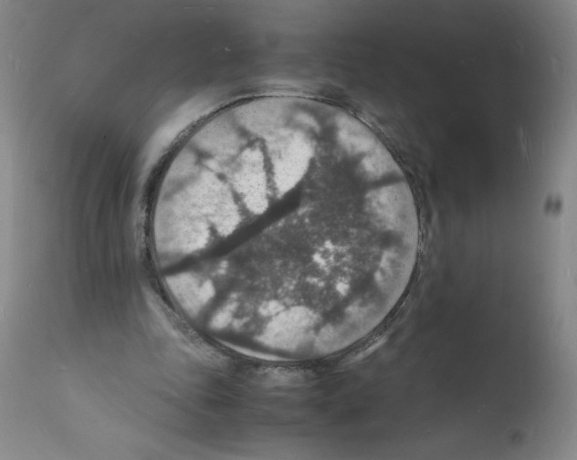 X0000112150343200909181428