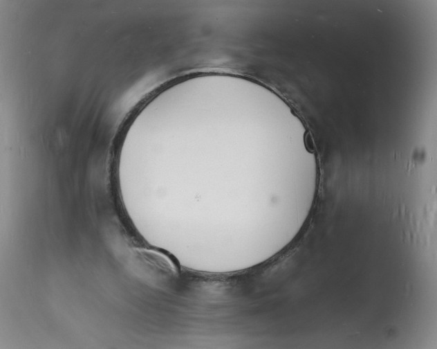 X0000112150344200909181428