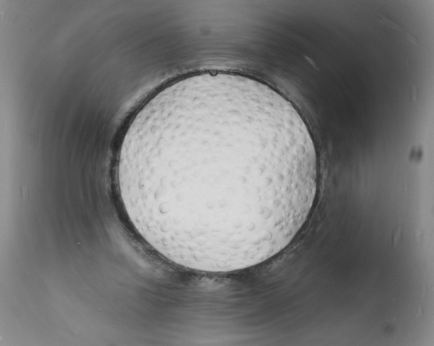 X0000112150346200909181428