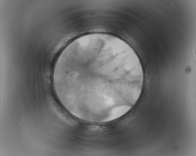 X0000112150347200909181428