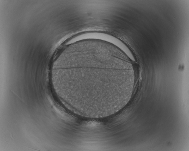 X0000112150348200909181428