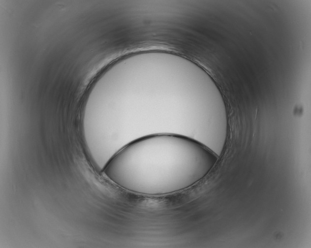 X0000112150350200909181428