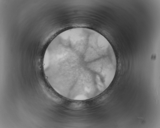 X0000112150351200909181428