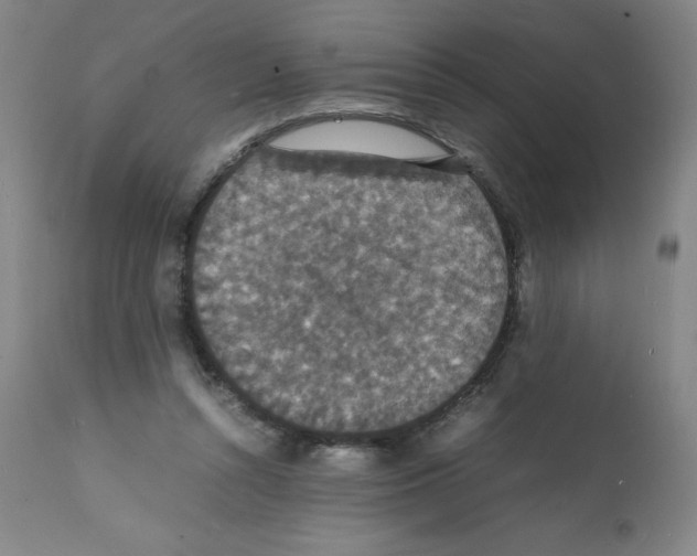 X0000112150352200909181428