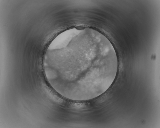 X0000112150353200909181428
