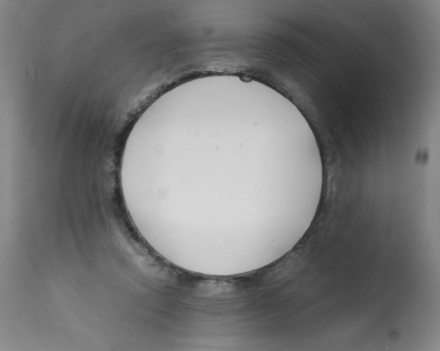 X0000112150354200909181428